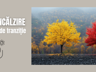 solutii de incalzire