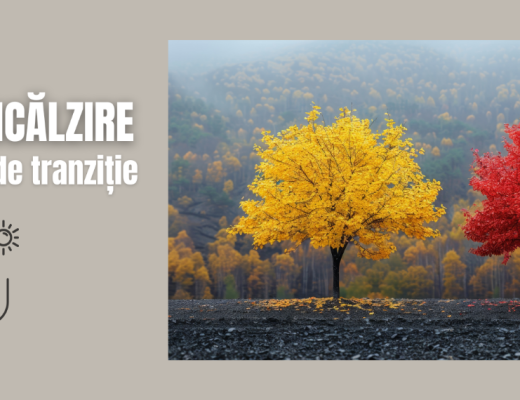 solutii de incalzire